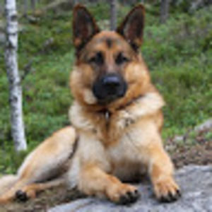 Meet your Posher, Julie